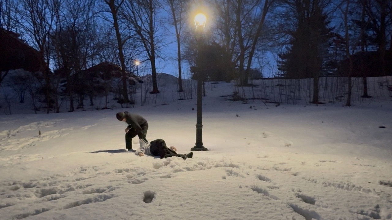 Inheritance Of Silence