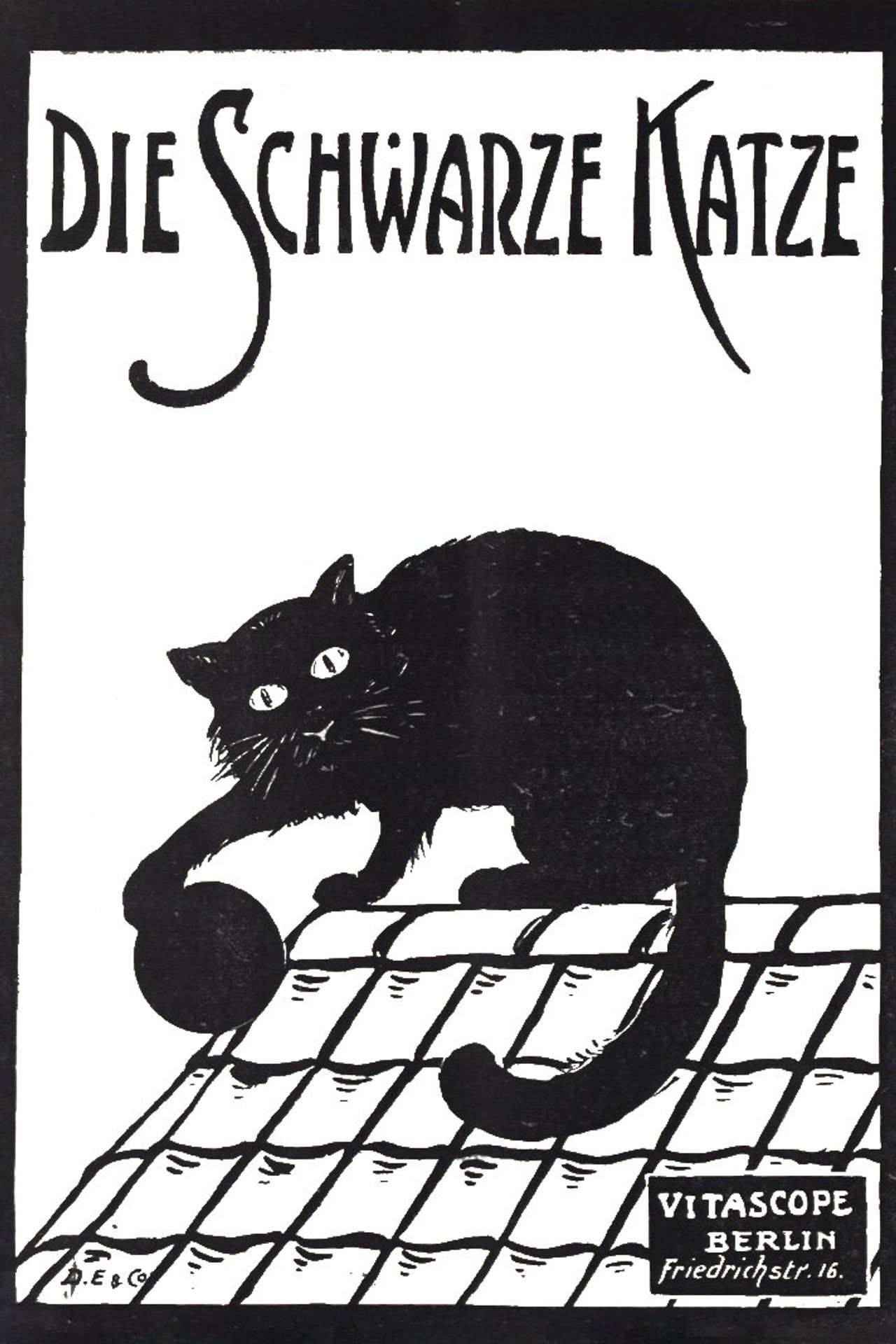 Die schwarze Katze 1. Teil Backdrop