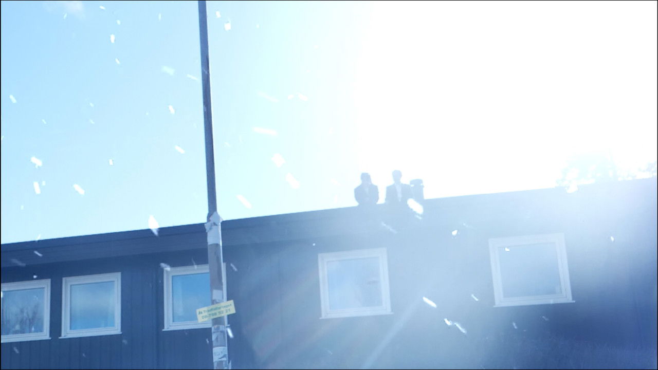 Time of Flowers backdrop
