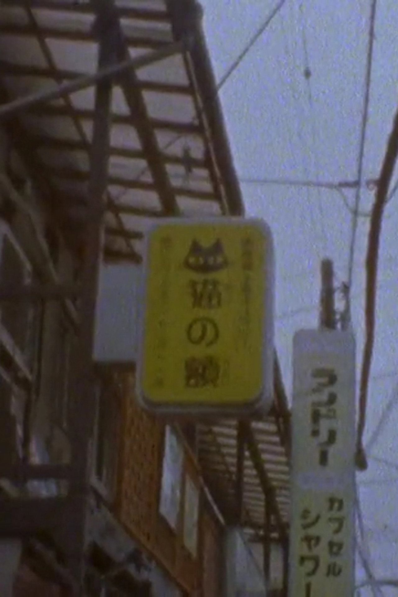 Scenes from a Visit to Japan filmaffisch