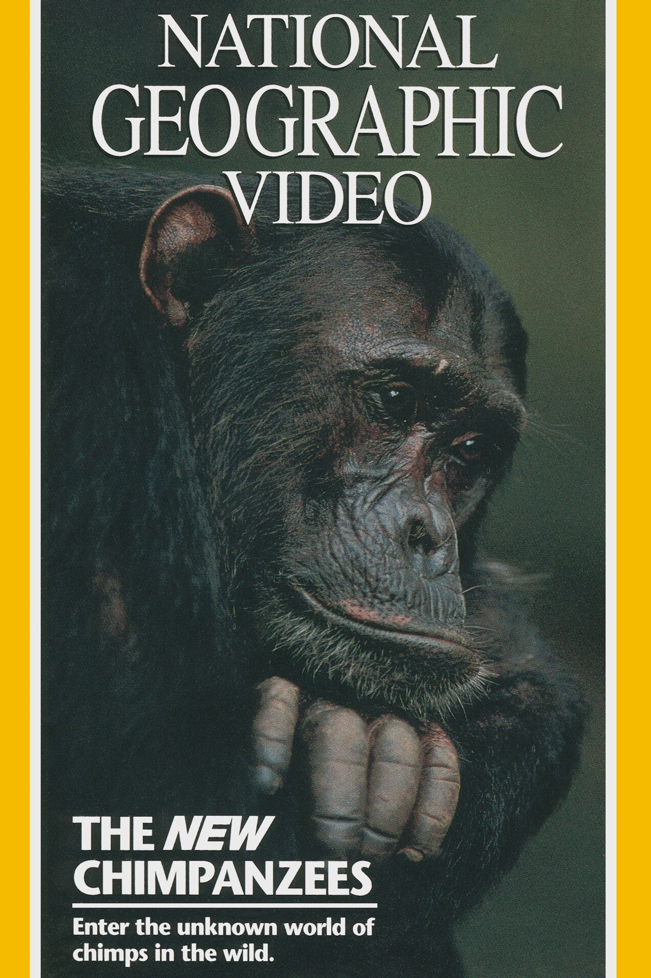 The New Chimpanzees