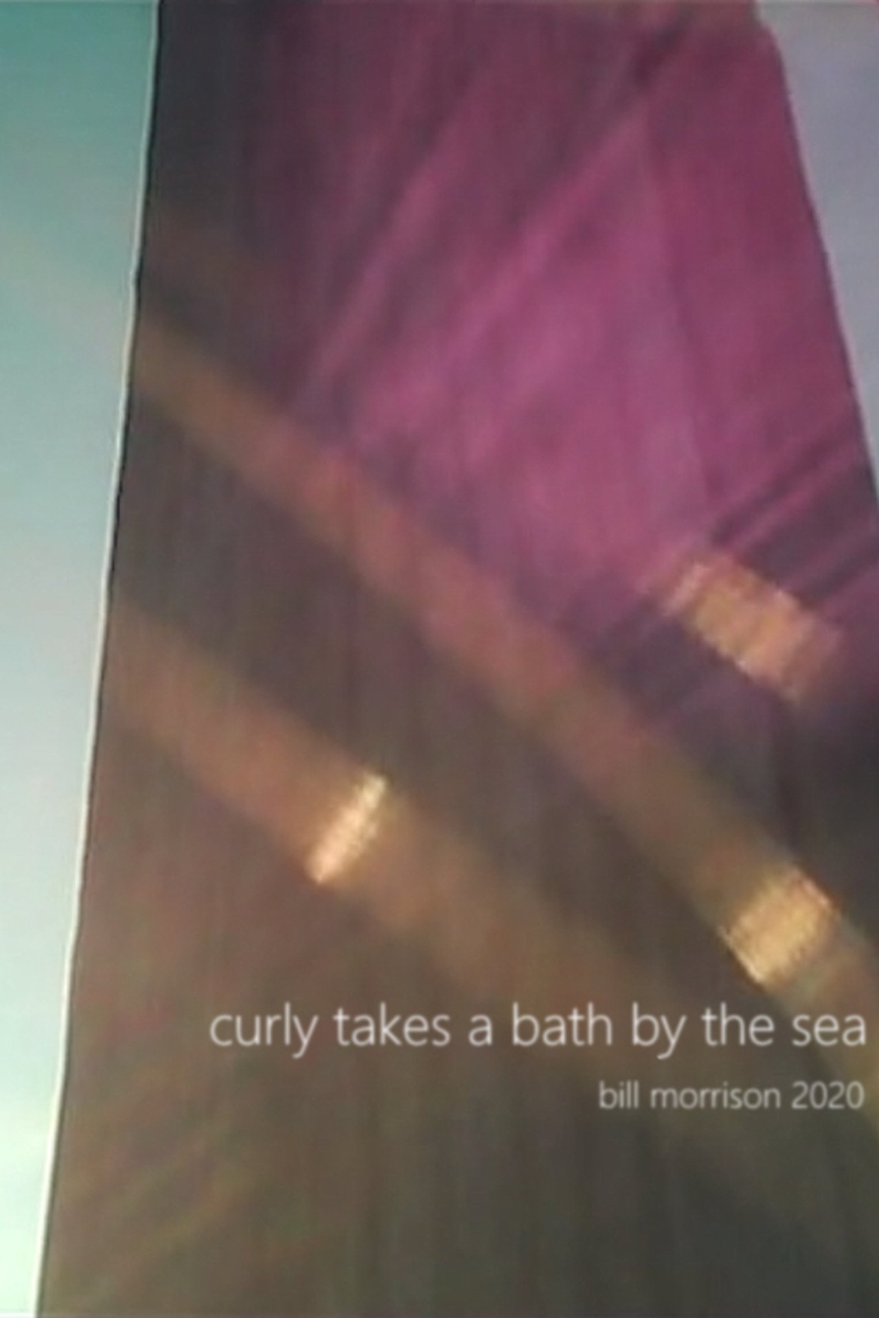 Curly Takes a Bath by the Sea 2020