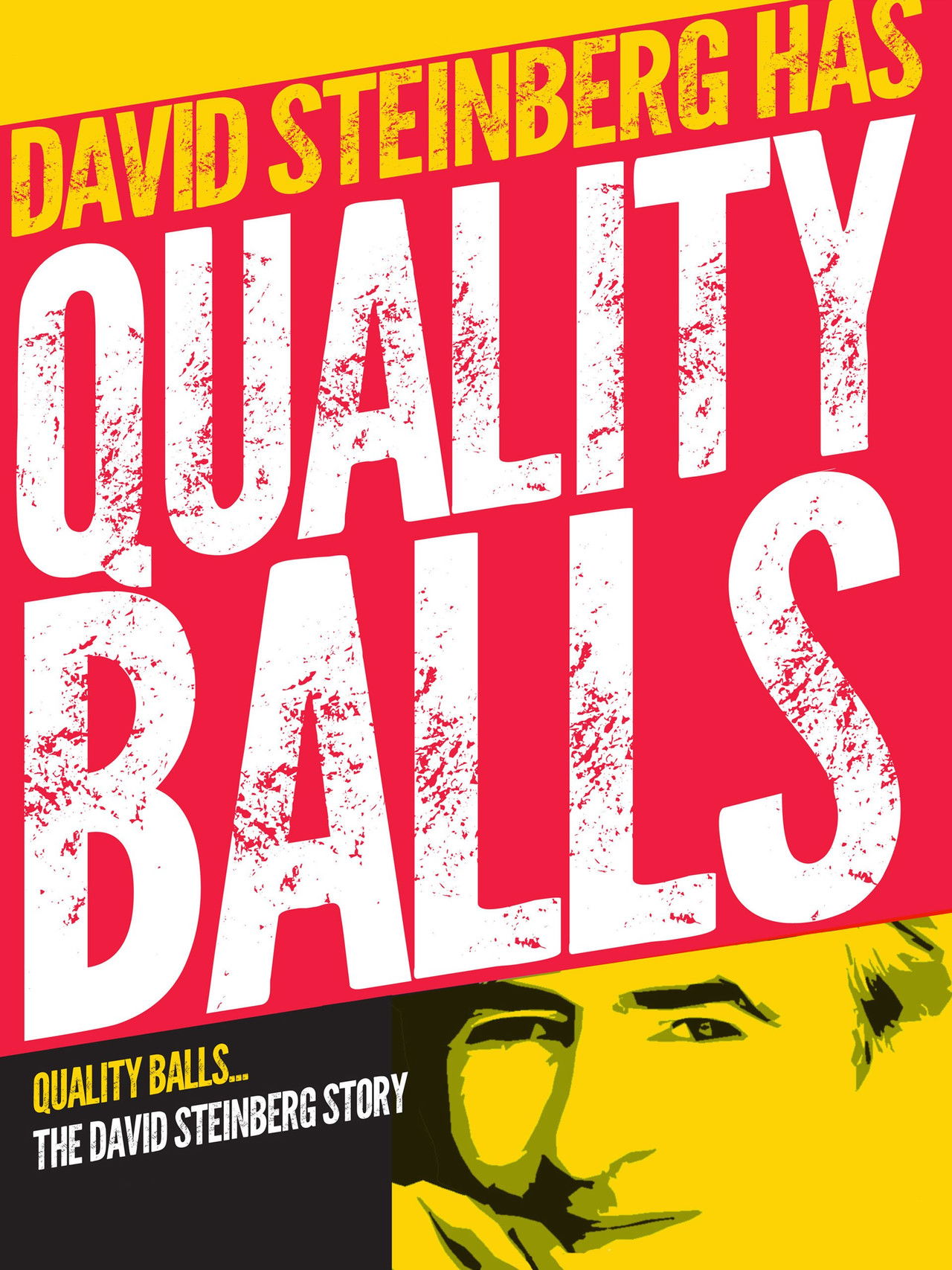 Quality Balls: The David Steinberg Story Backdrop