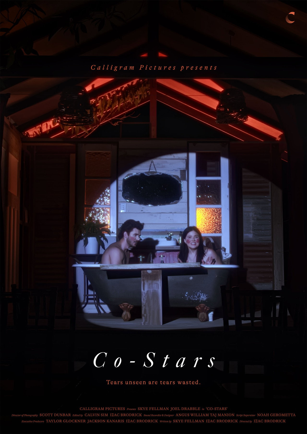 Co-Stars filmaffisch