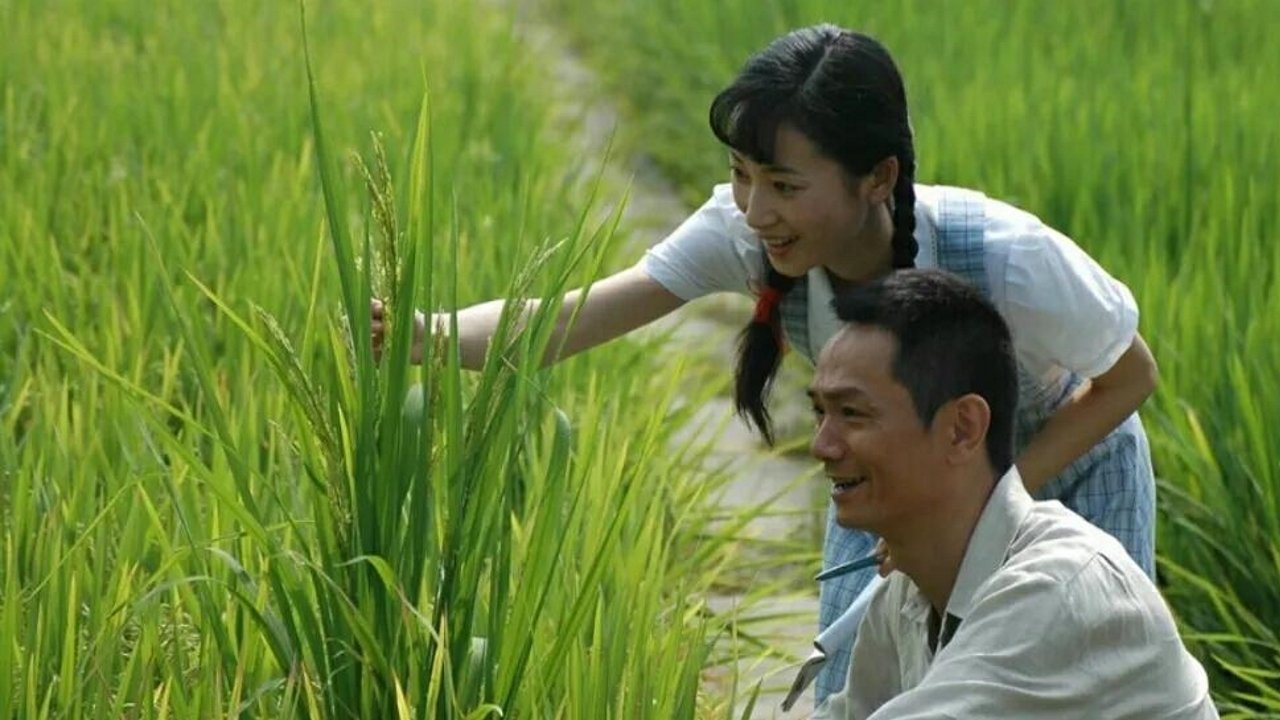 Cao Yanyan