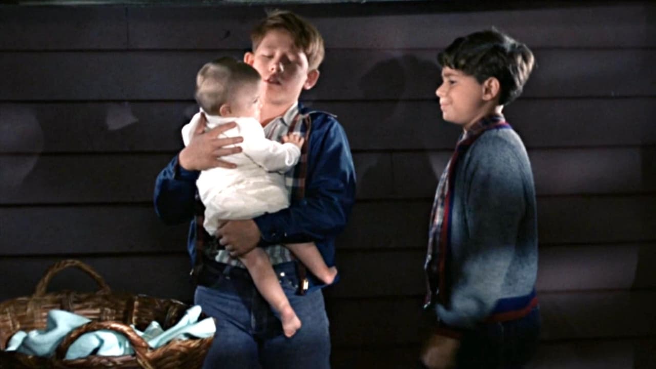 The Andy Griffith Show - Season 7 Episode 10 : Opie Finds a Baby