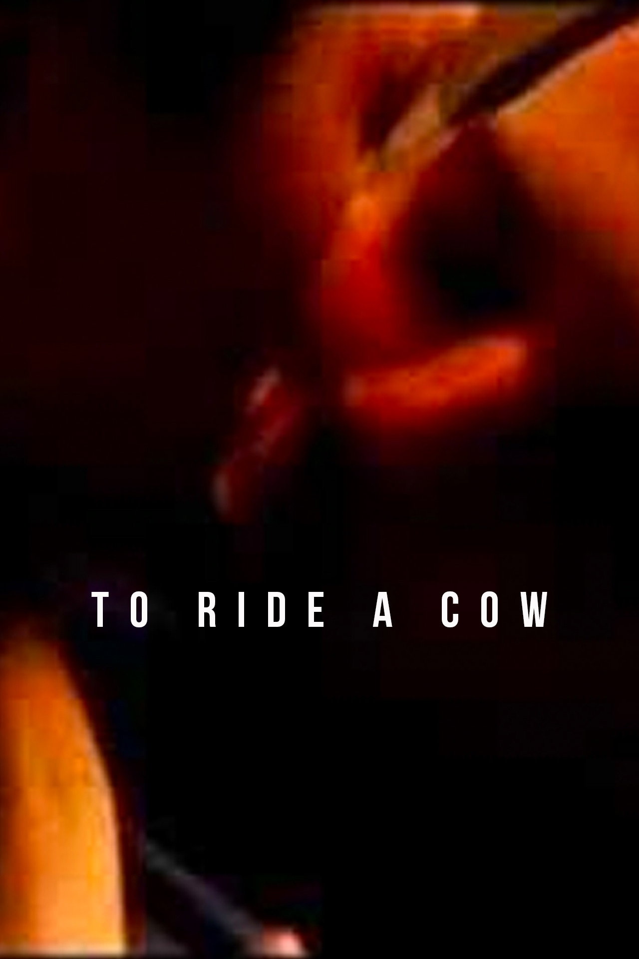 To Ride a Cow filmaffisch