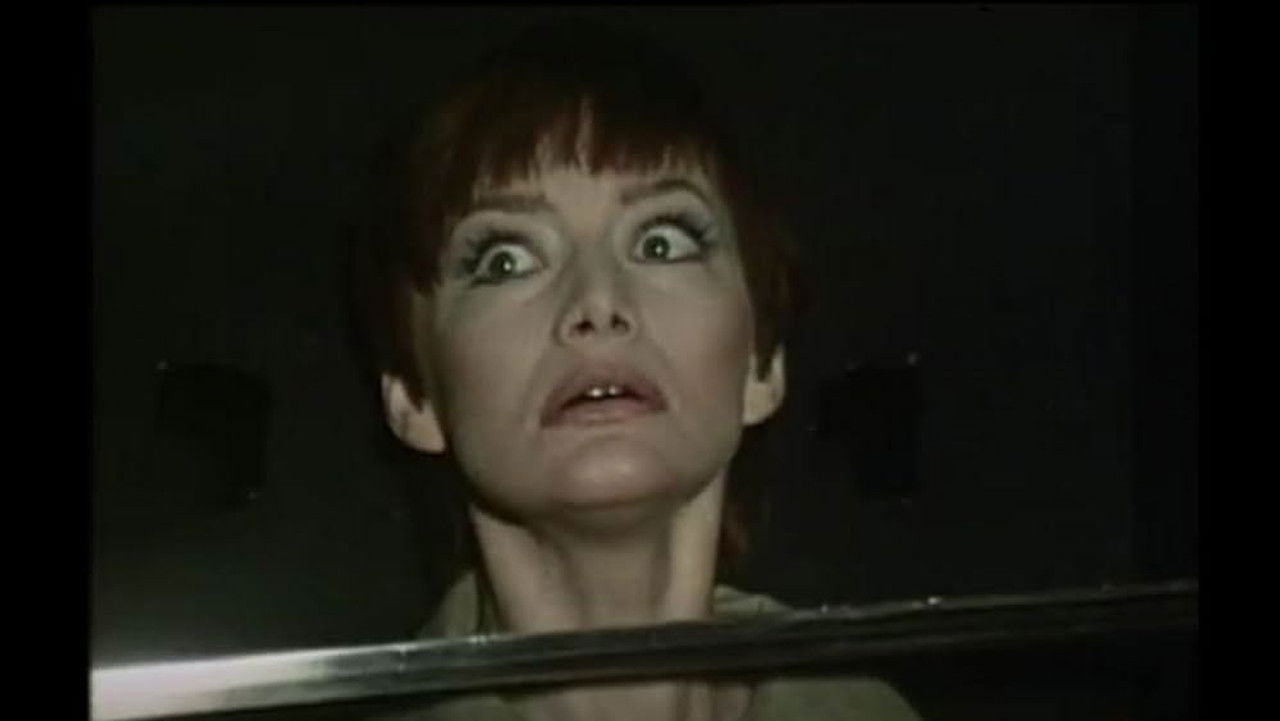 Nick Verlaine ou Comment voler la tour Eiffel — Soyez bons pour les animaux