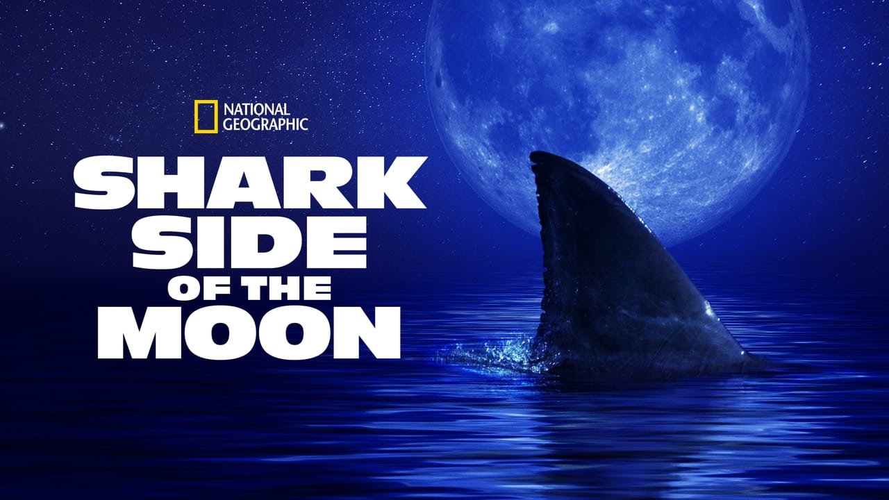 Shark Side of the Moon background