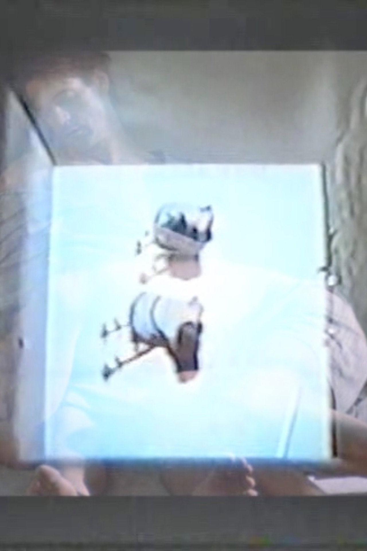 Physical Instincts filmaffisch