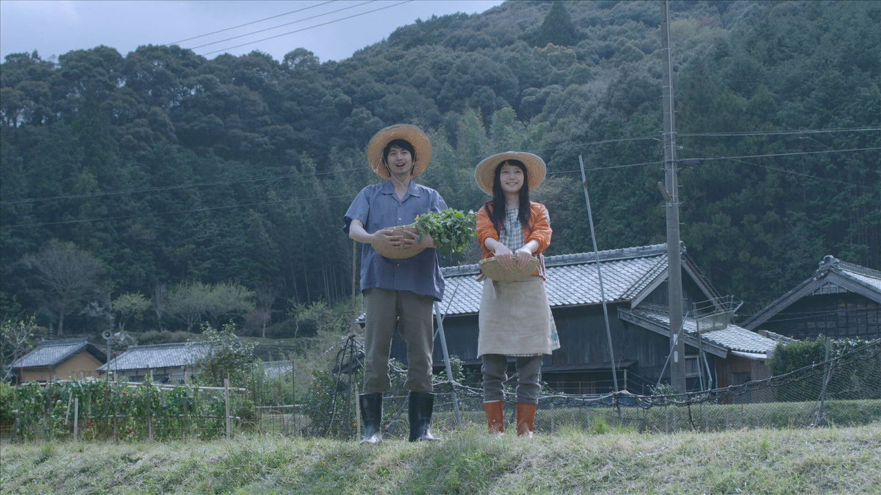 Yellow Elephant backdrop