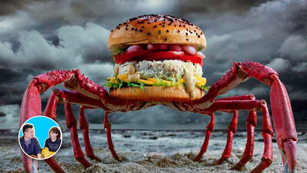 老高与小茉 — Épisode 195