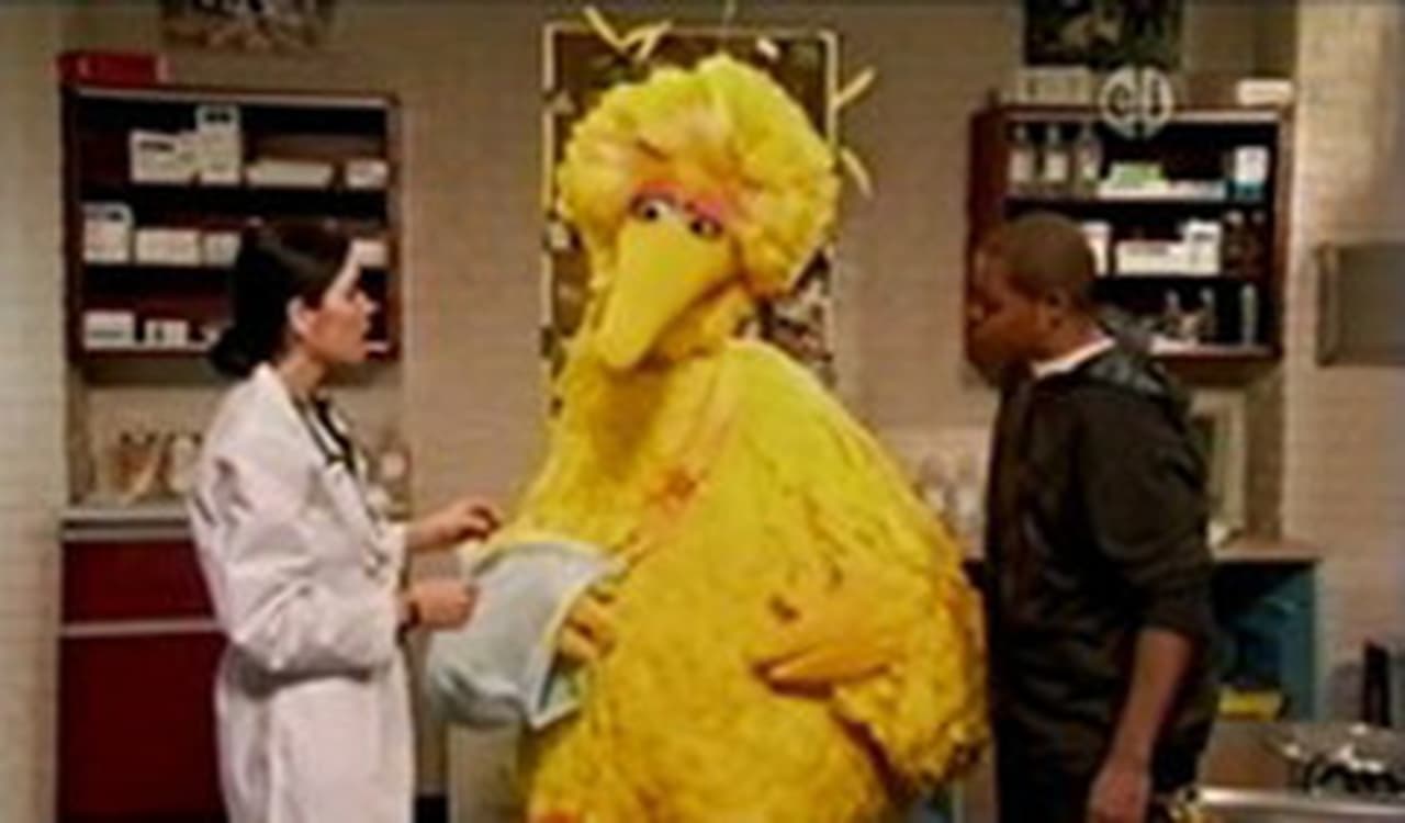 Sesame Street - Season 40 Episode 20 : Wing in a Sling