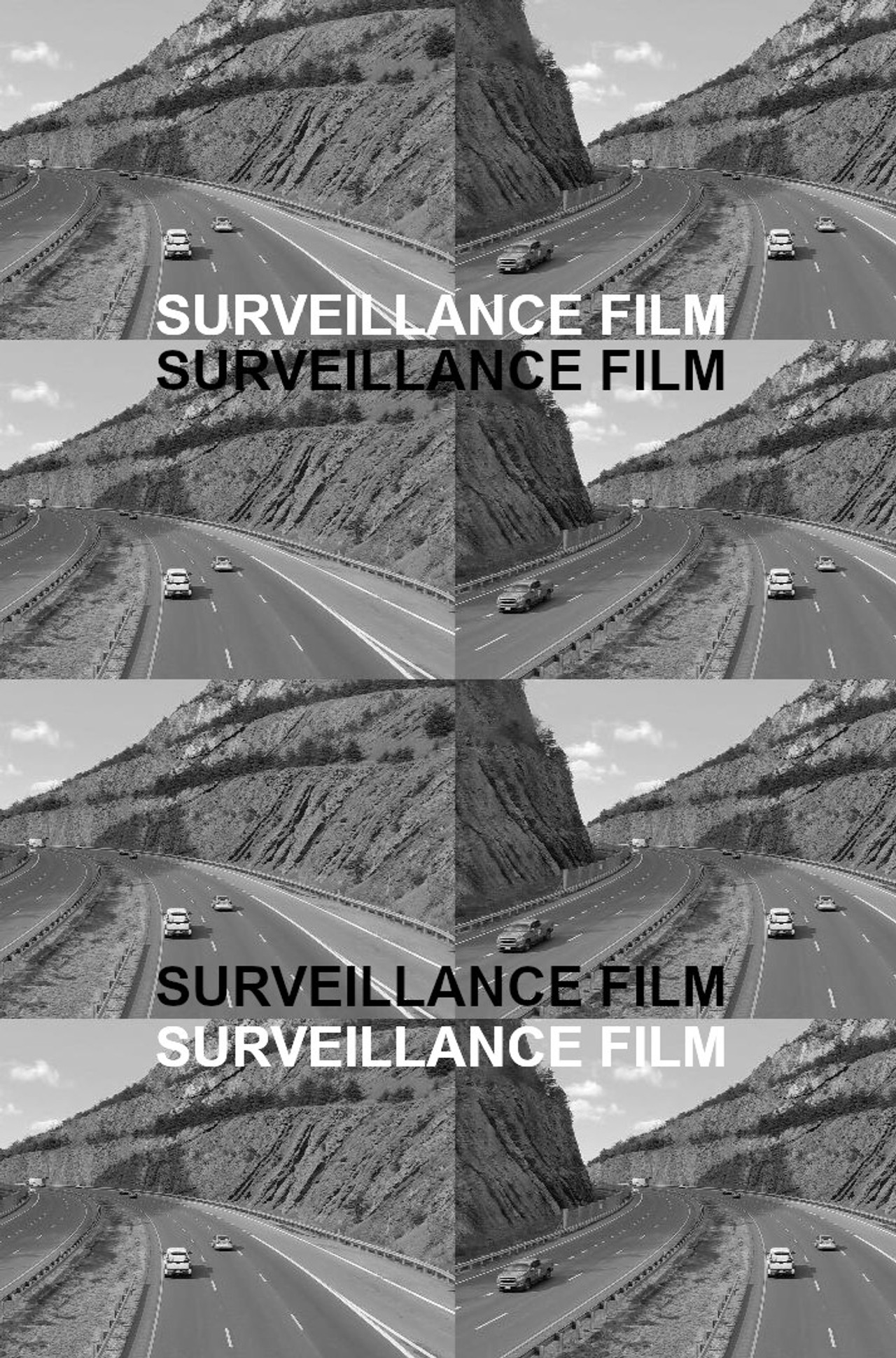 Surveillance Film filmaffisch