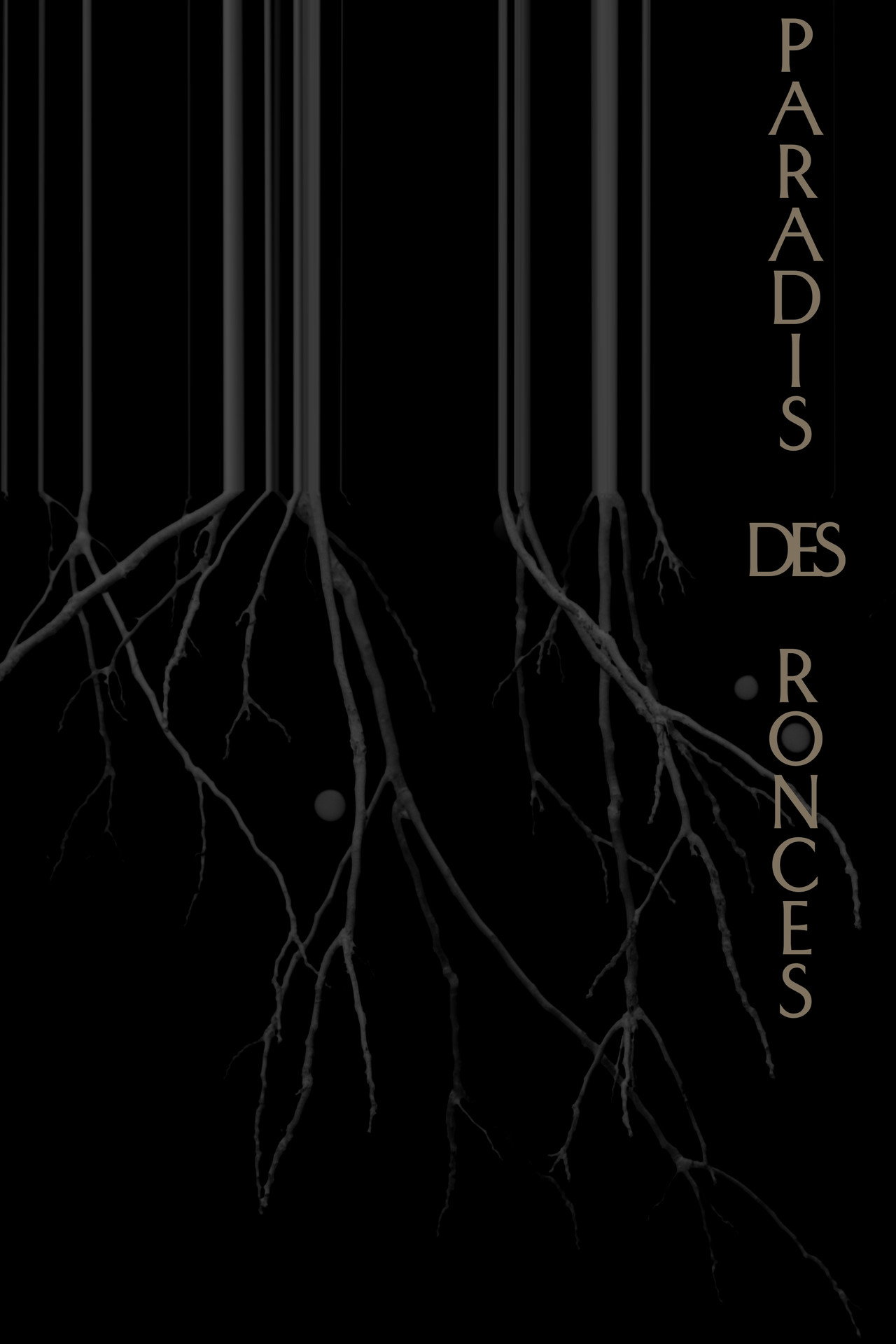 Paradis des ronces filmaffisch
