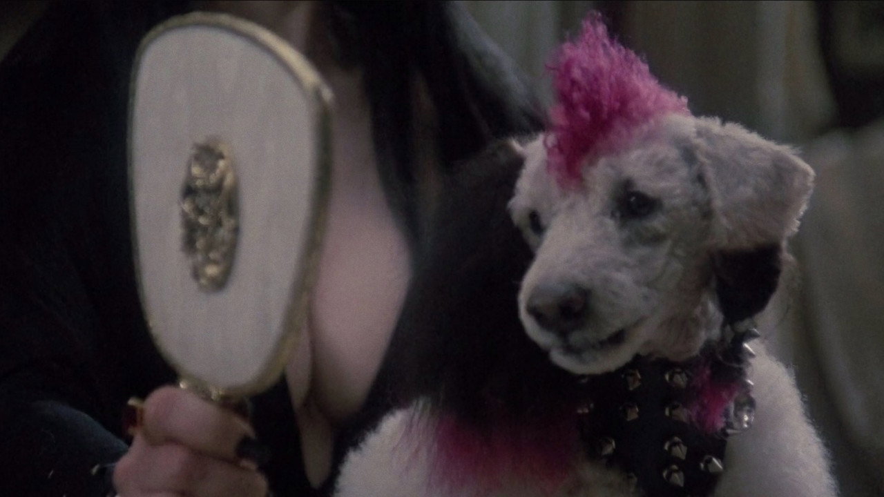 Elvira: Mistress of the Dark background 98