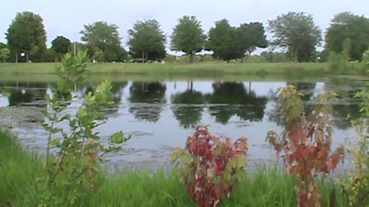 walk still 5