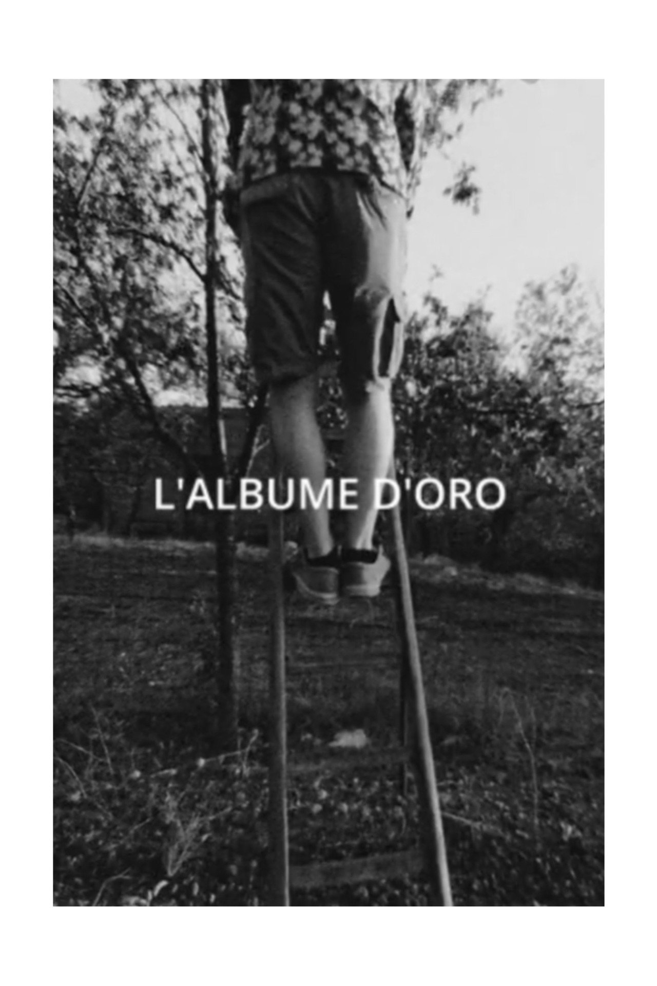 L'Albume D'Oro filmaffisch