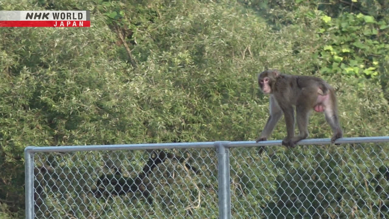 NHK Documentary — Épisode 6