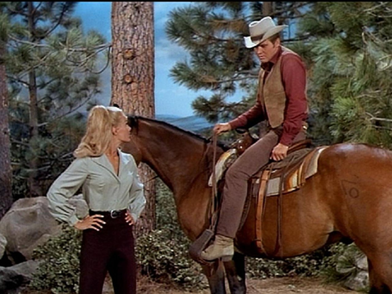 The Big Valley - Season 2 Episode 20 : The Stallion
