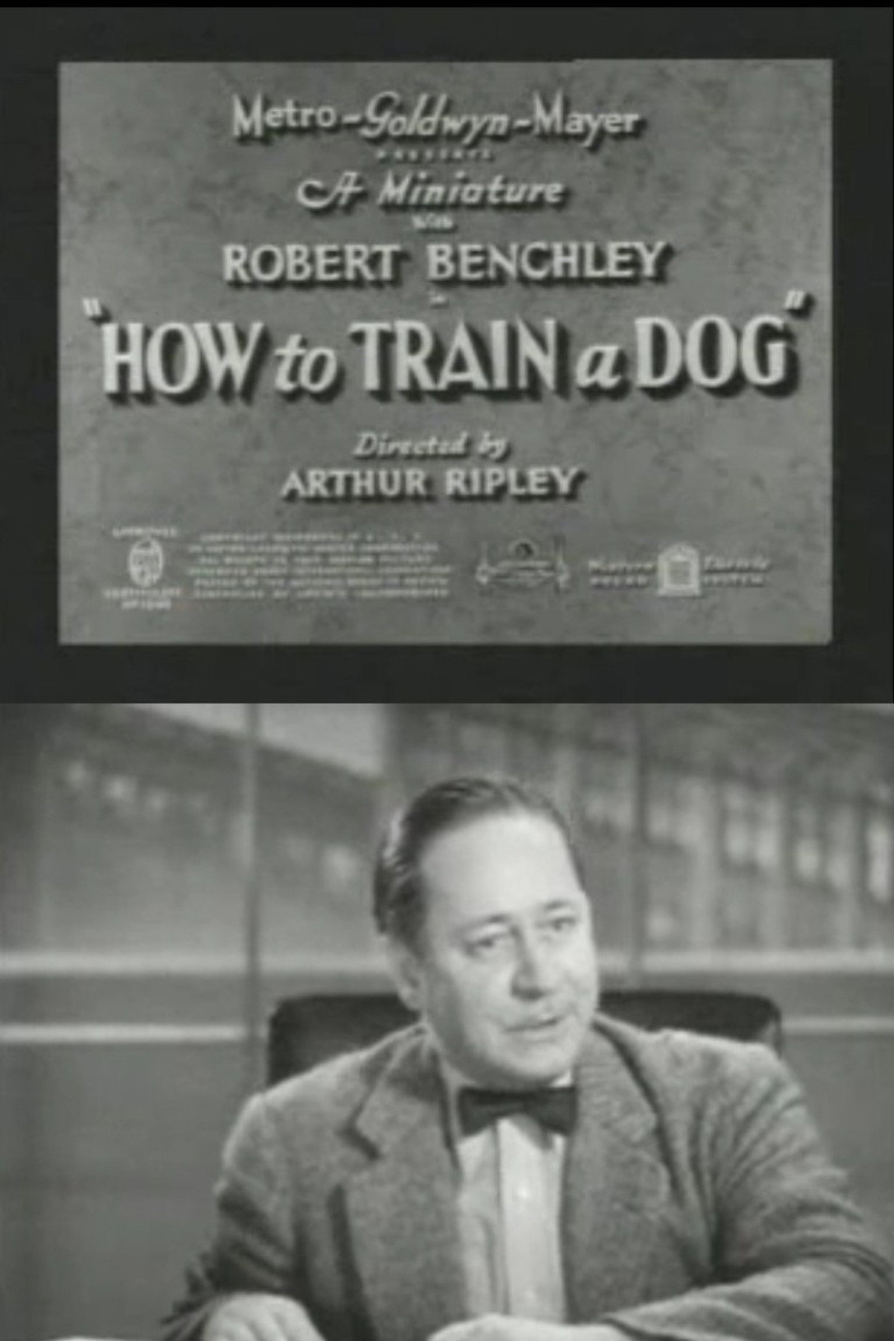 How to Train a Dog