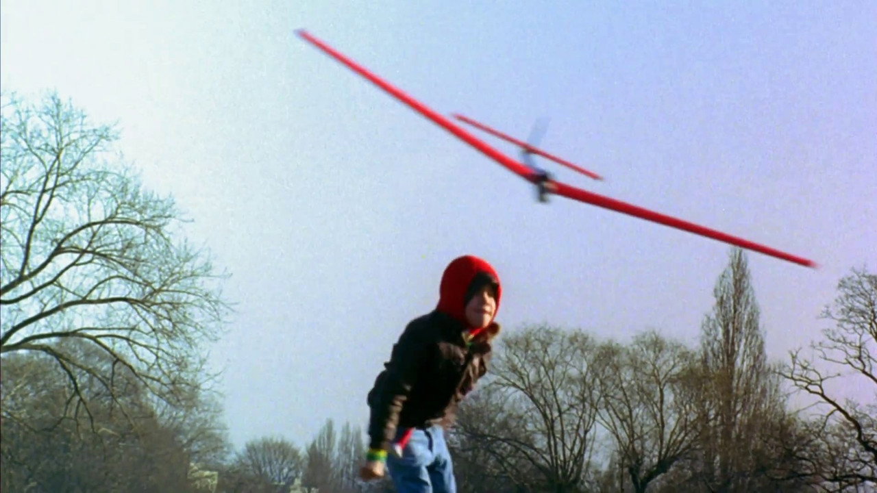 Wings and Things still 3