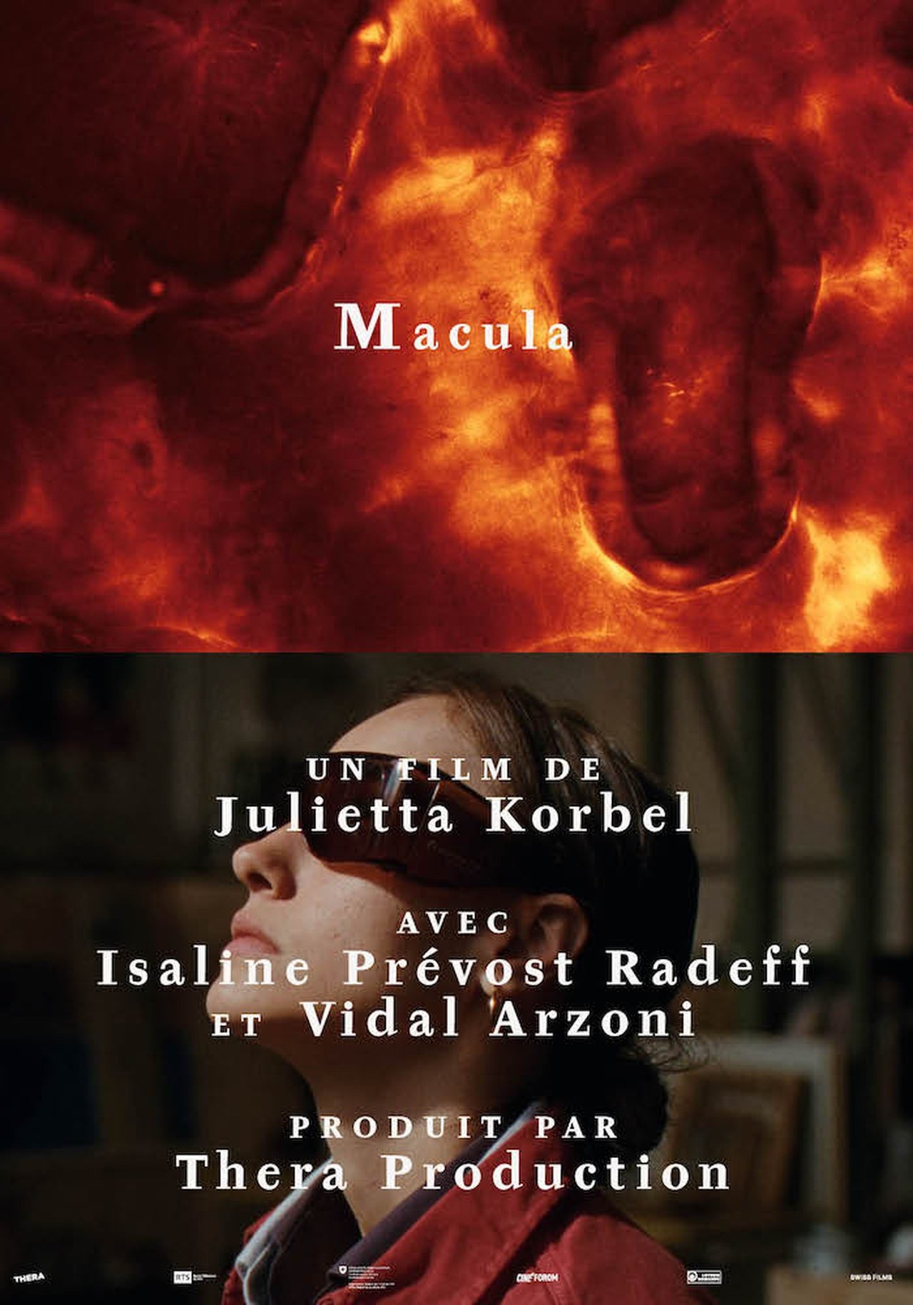 Macula Macula