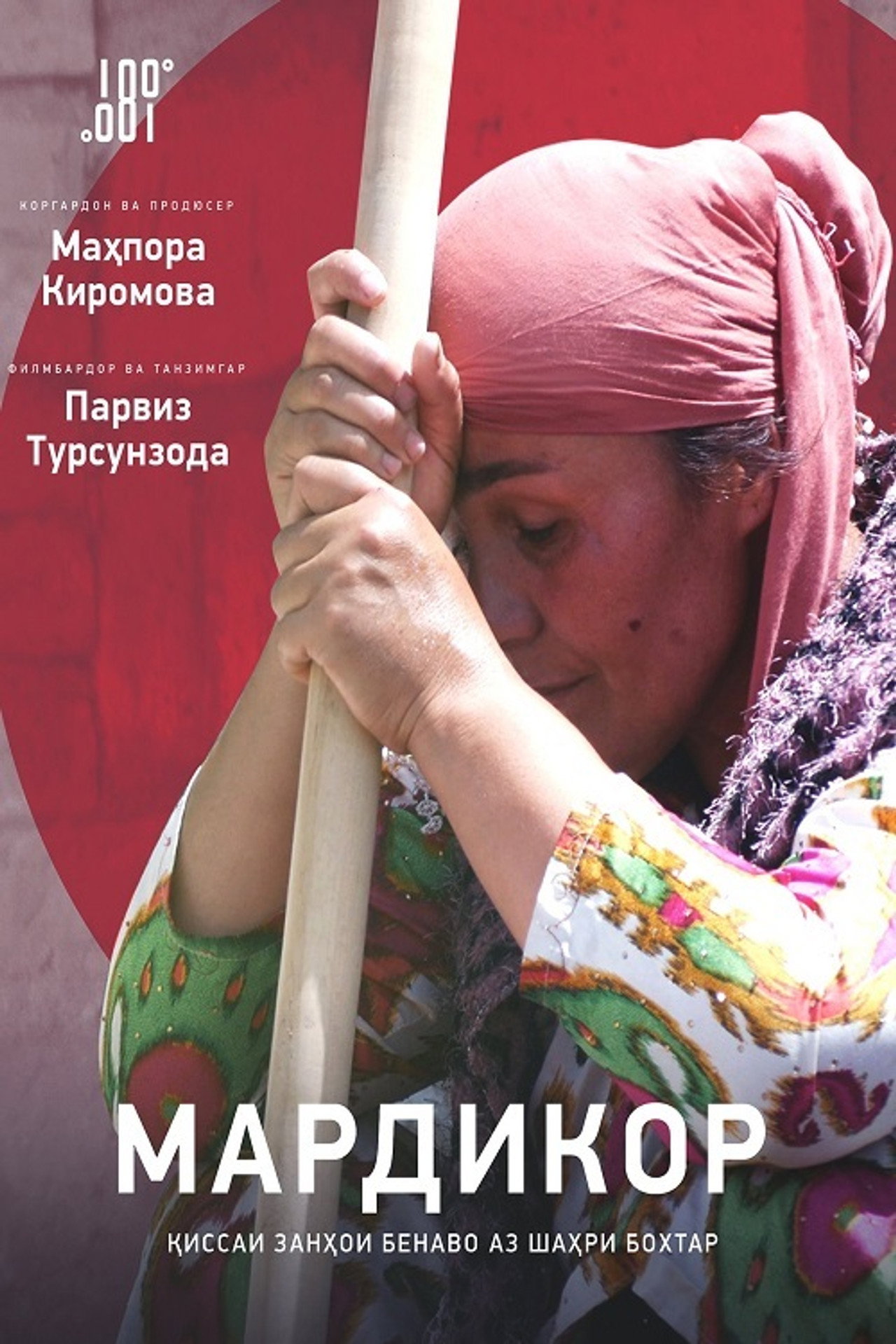 Handywoman