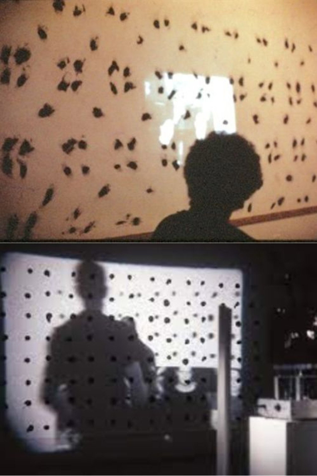 Finch Project filmaffisch