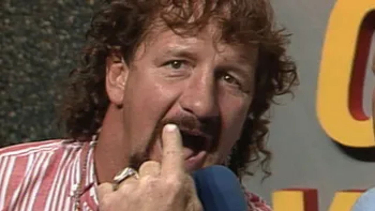 NWA World Championship Wrestling — Épisode 25