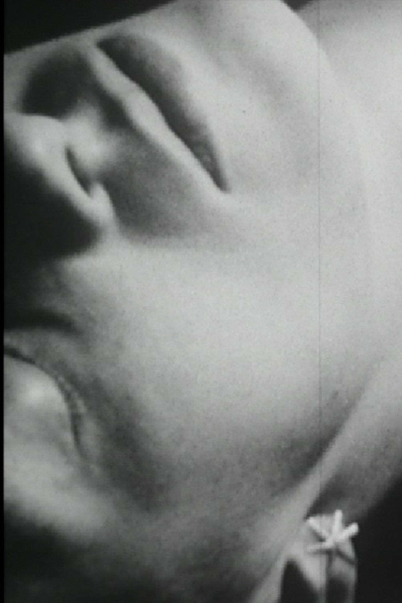 Fades and Close-Ups filmaffisch