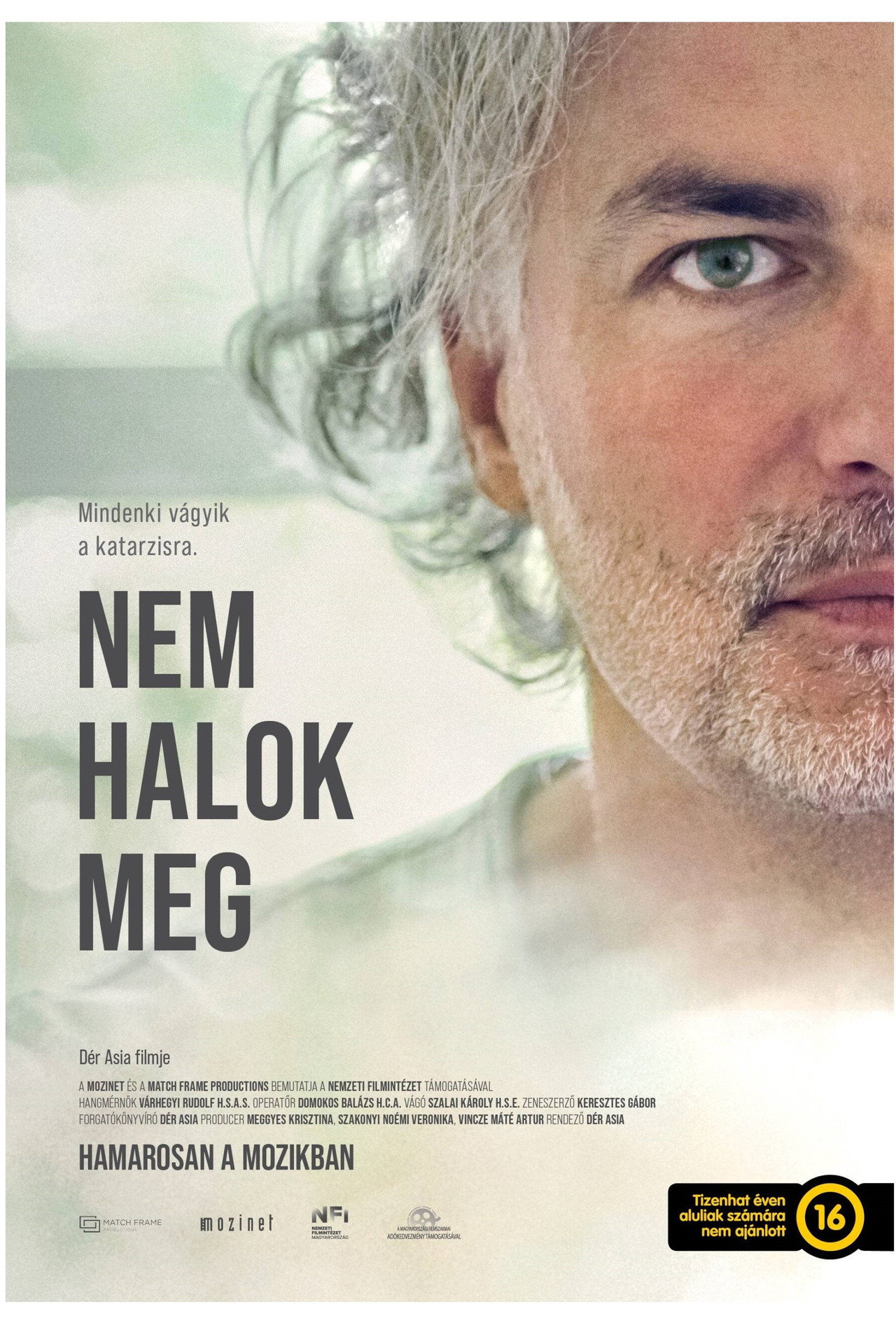 Nem halok meg – plakát 2