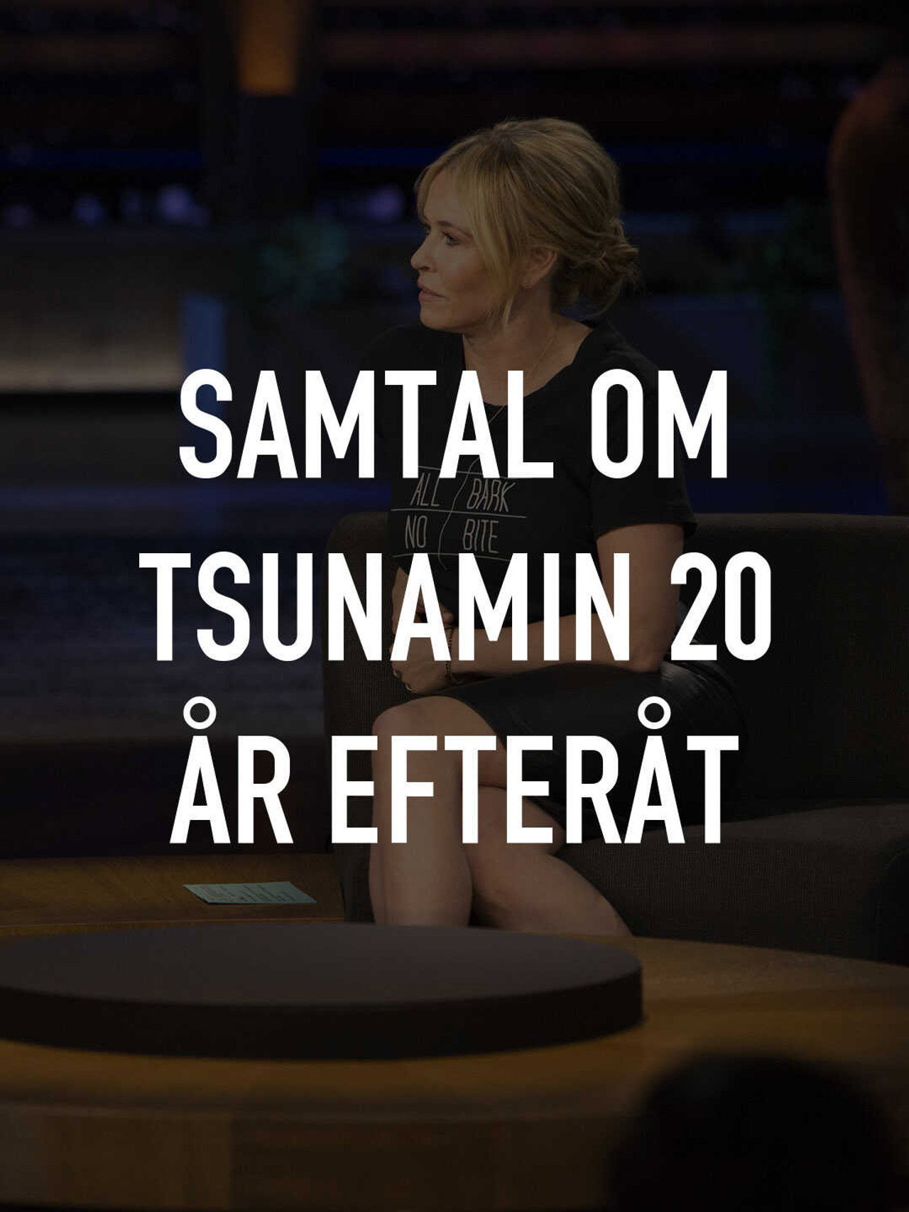 Samtal om tsunamin 20 år efteråt Backdrop