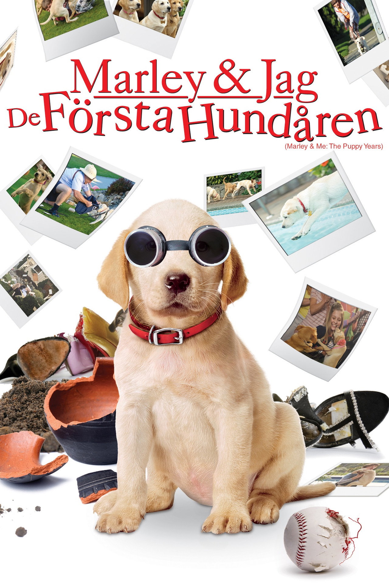 Marley & jag - De första hundåren filmaffisch