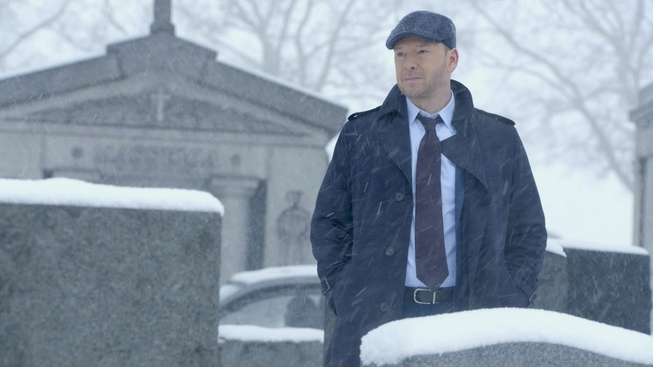 Blue Bloods - Season 8 Episode 22 : My Aim is True