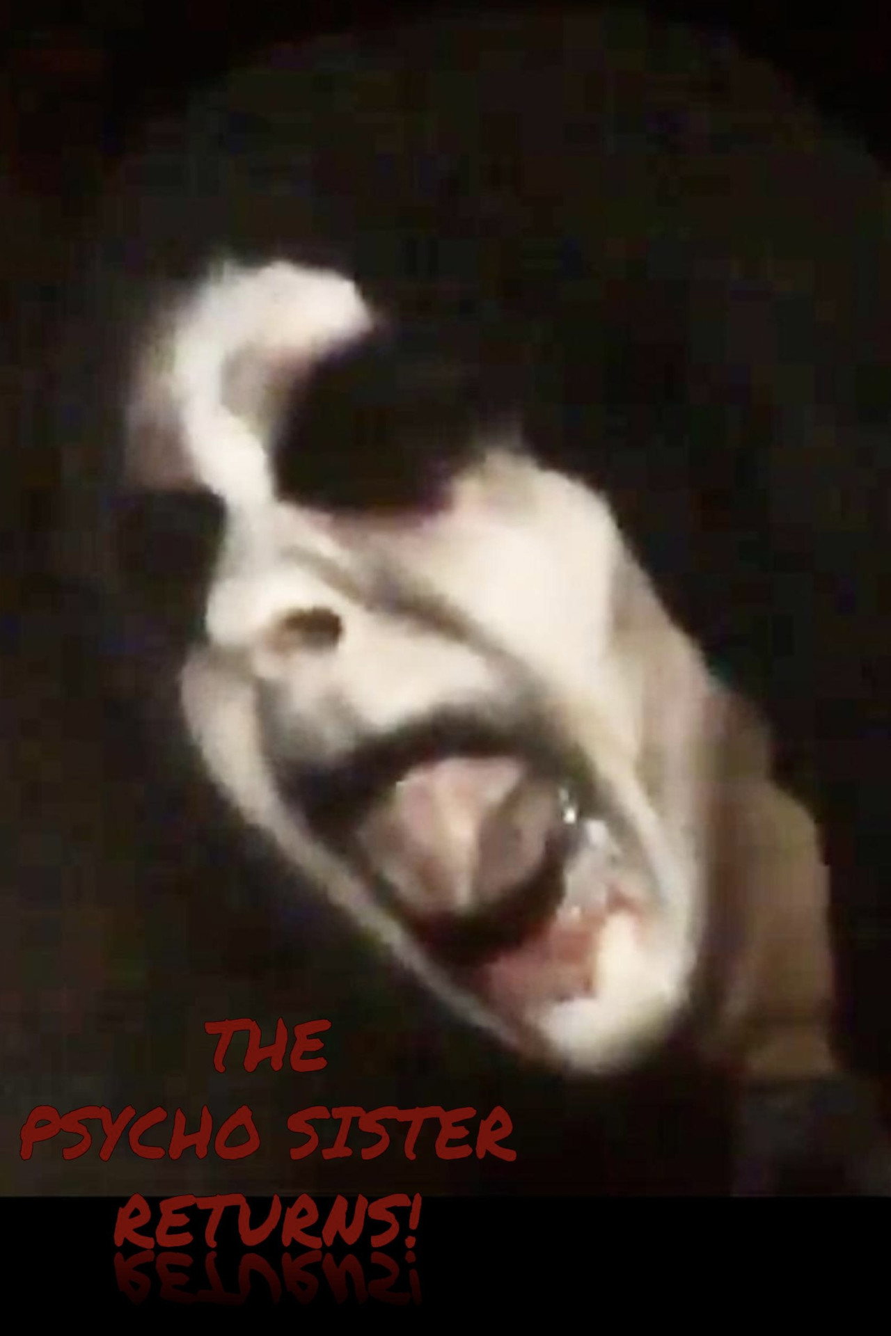 The Psycho Sister Returns! filmaffisch