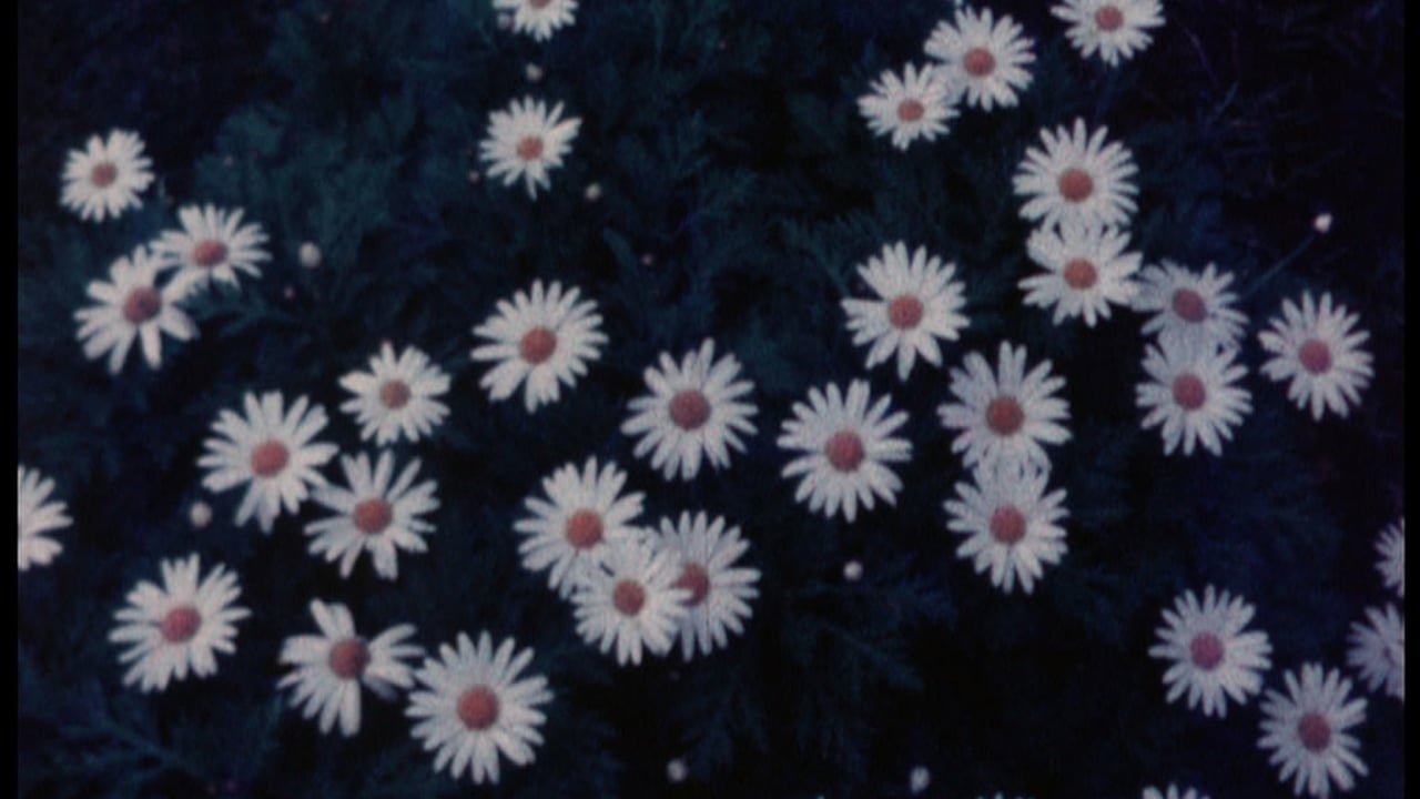 title image