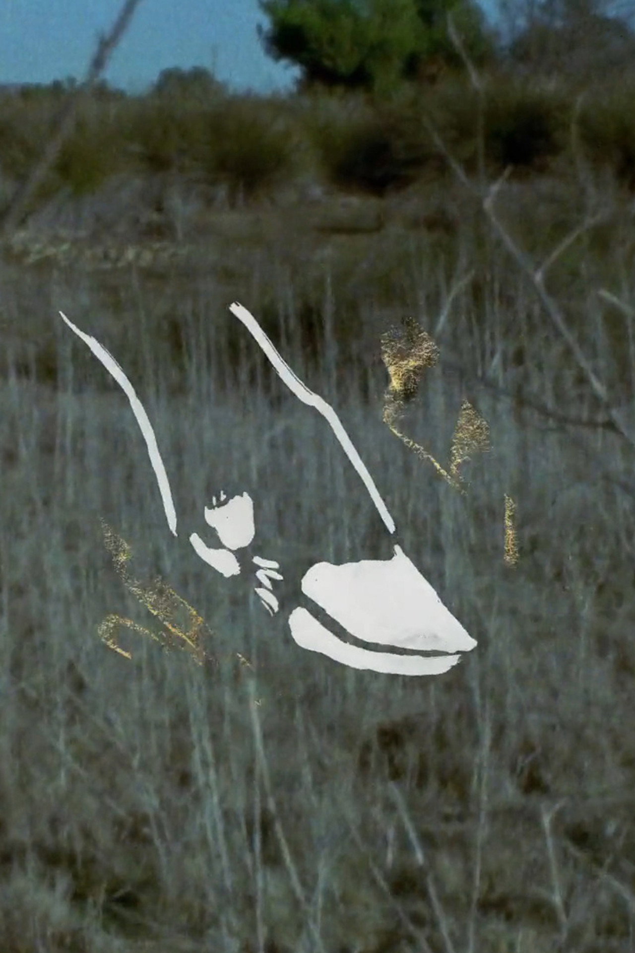 Soil (2019)