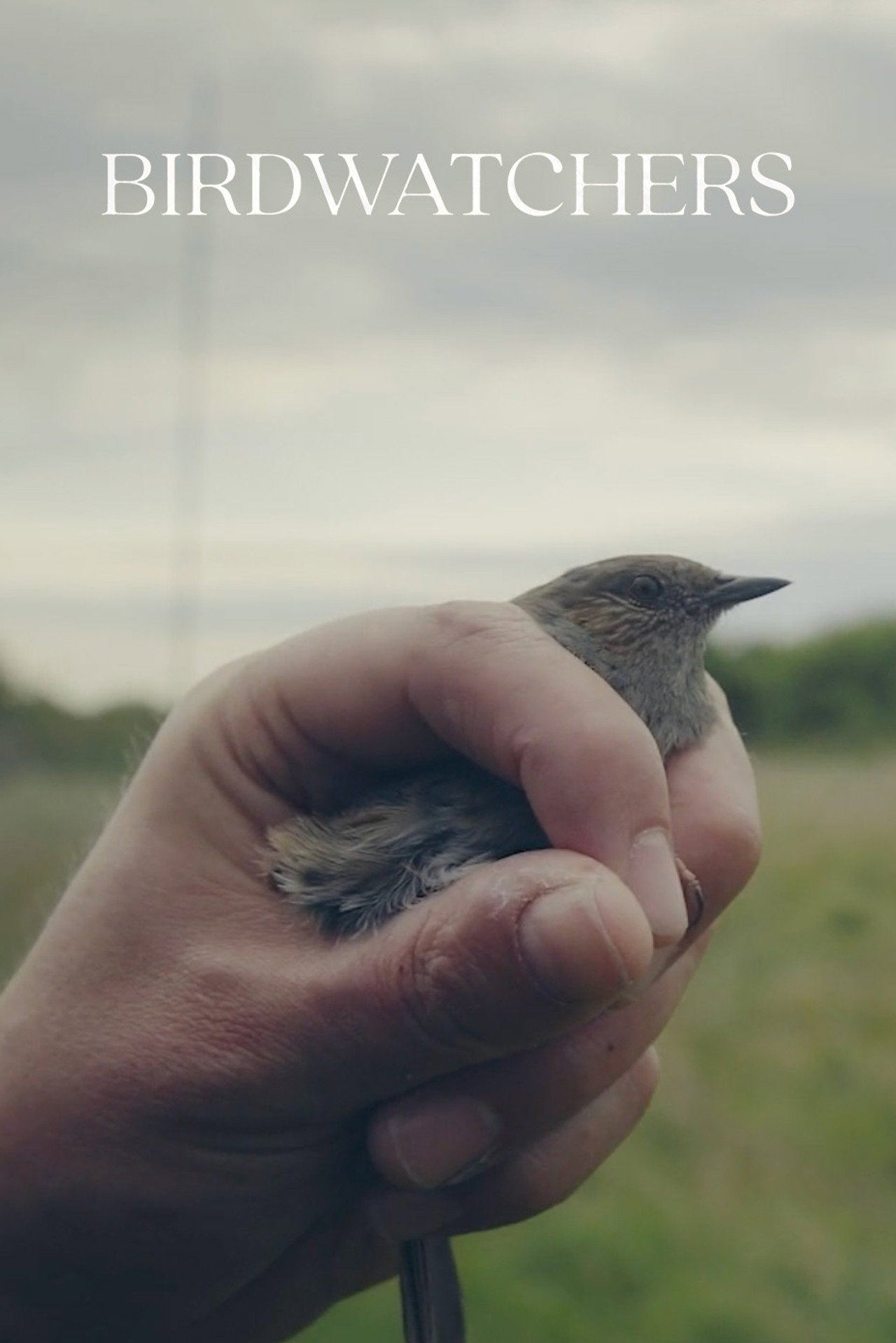 Birdwatchers filmaffisch