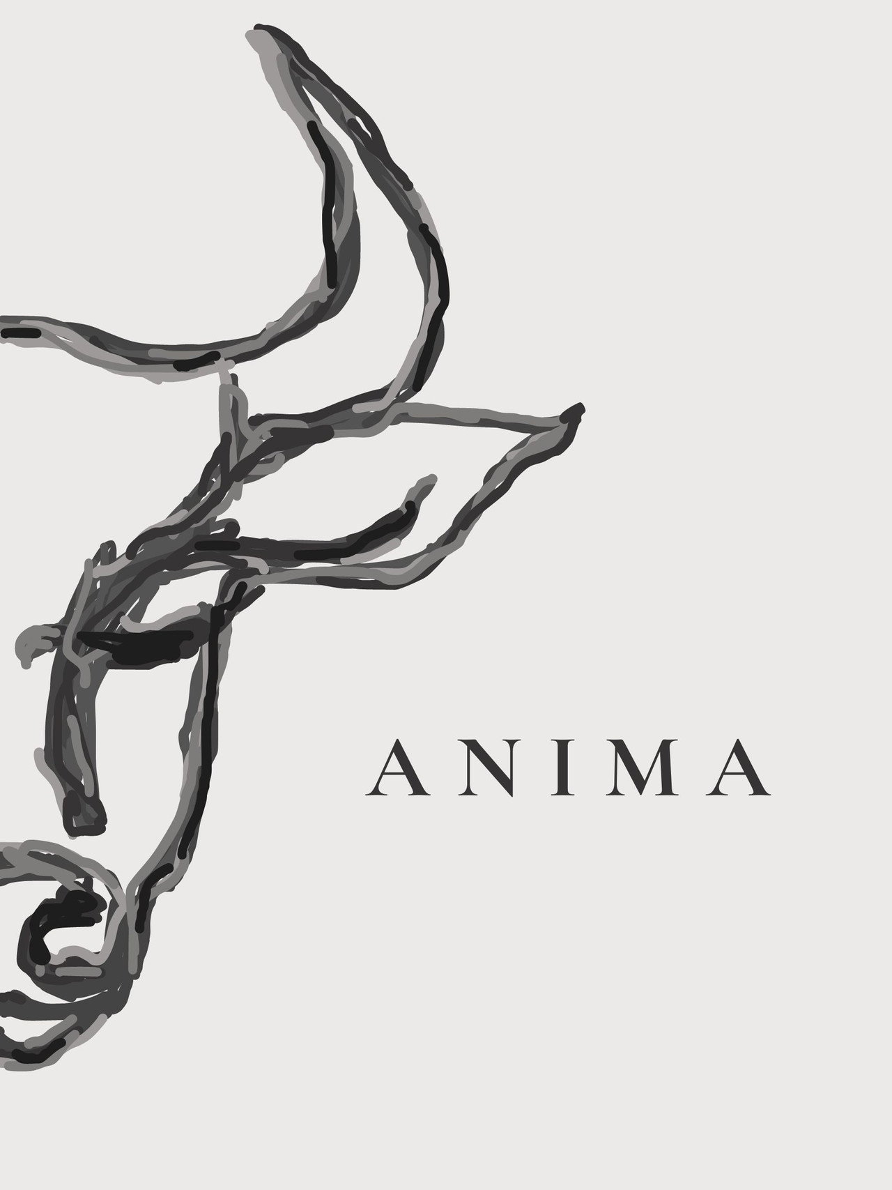 ANIMA poster