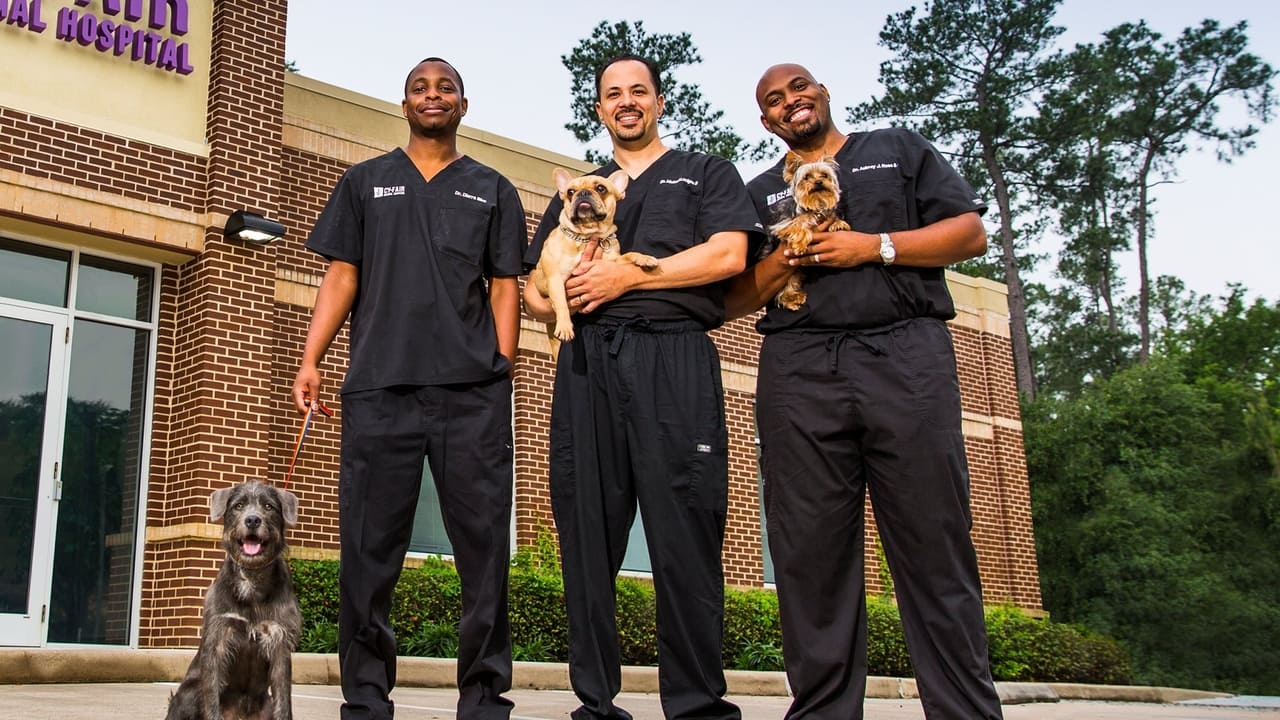 The Vet Life background