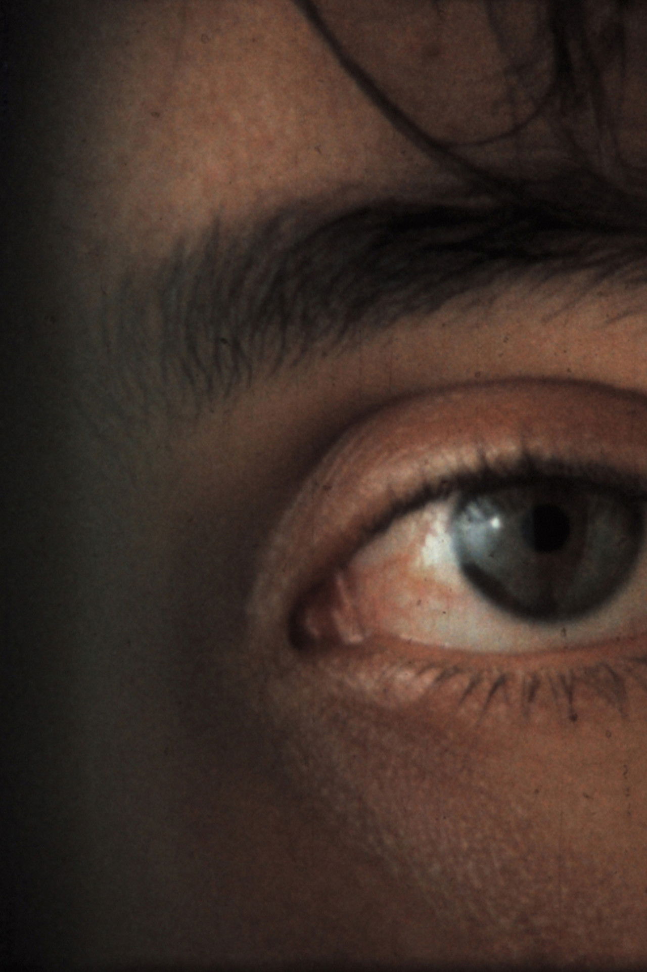 Shock Video Backdrop