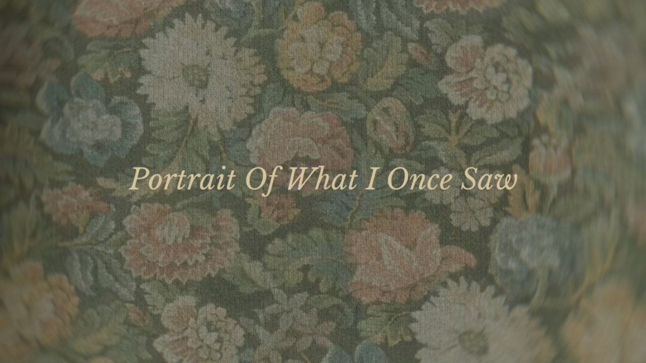 Portrait Of What I Once Saw still 3