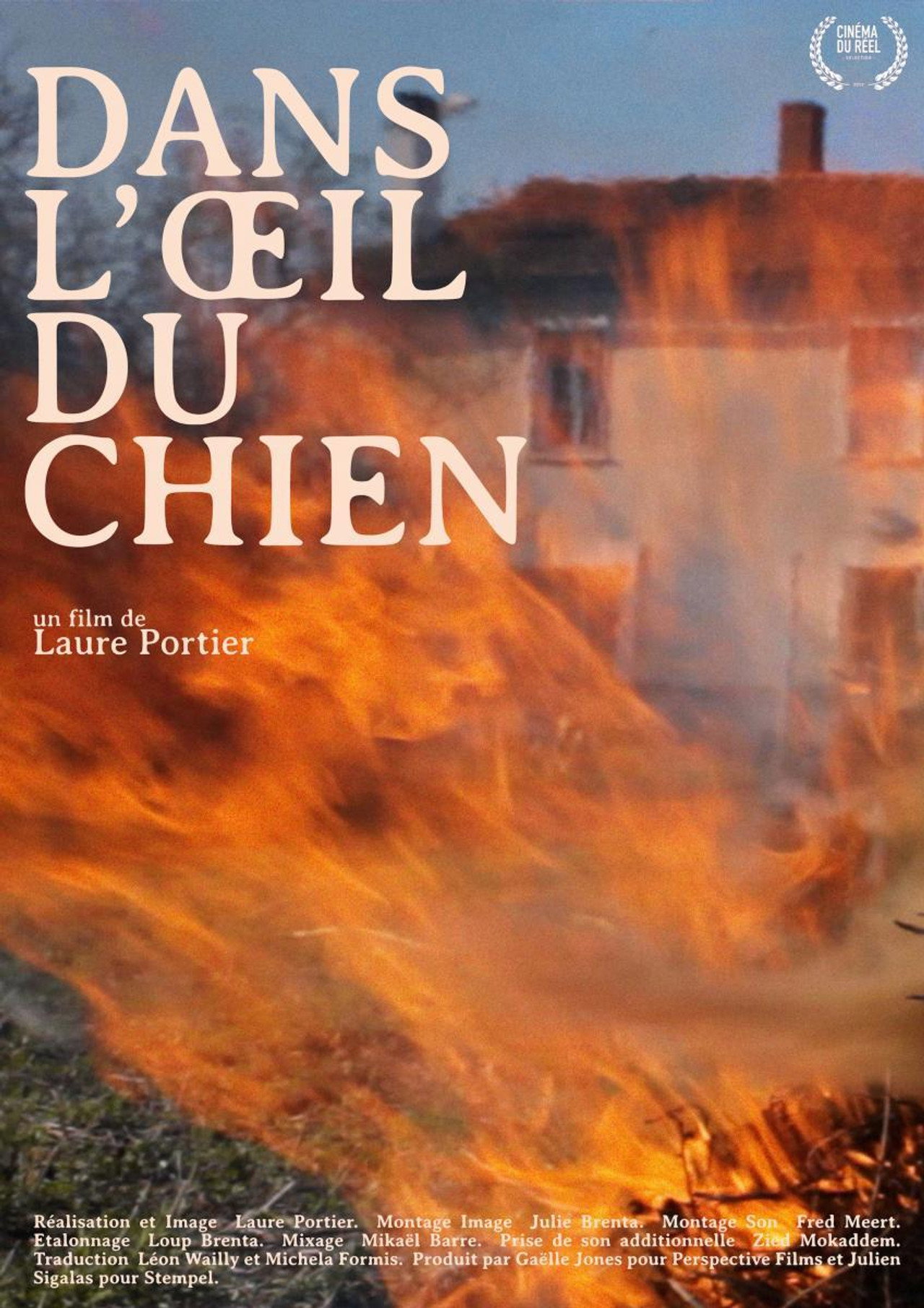 Dans l'oeil du chien filmaffisch