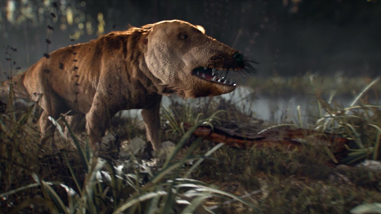 When Whales Walked: Journeys in Deep Time