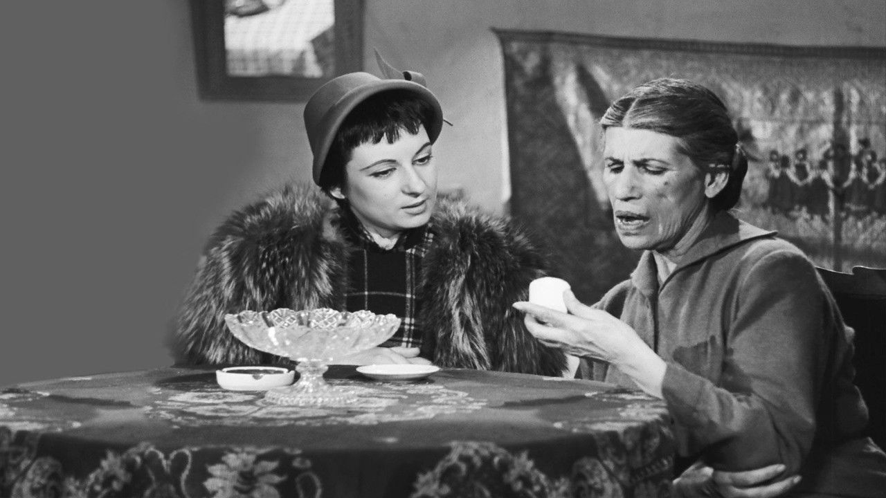 The Coffee Reader (Kafetzou) backdrop