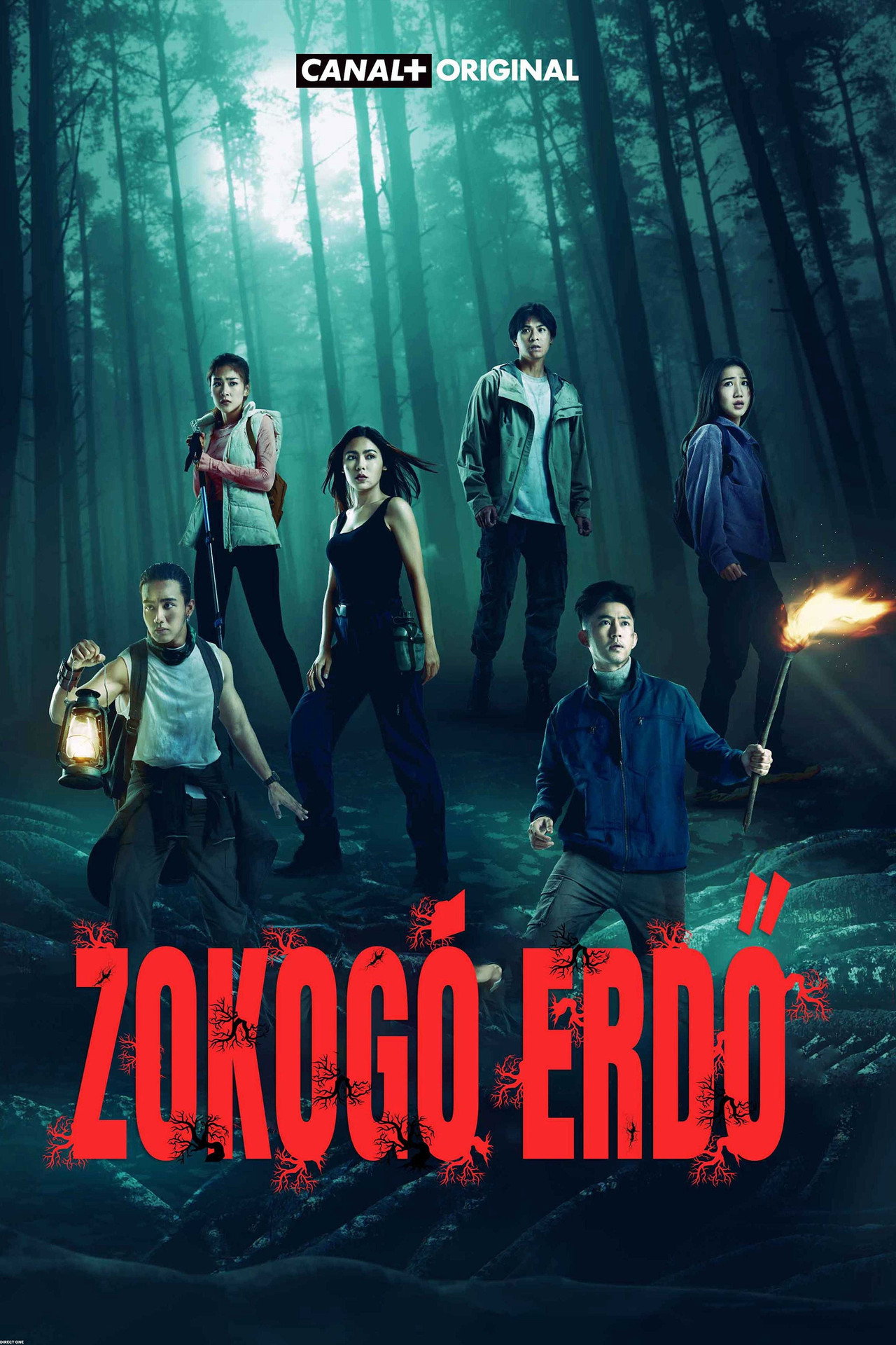 Zokogó erdő – plakát 6
