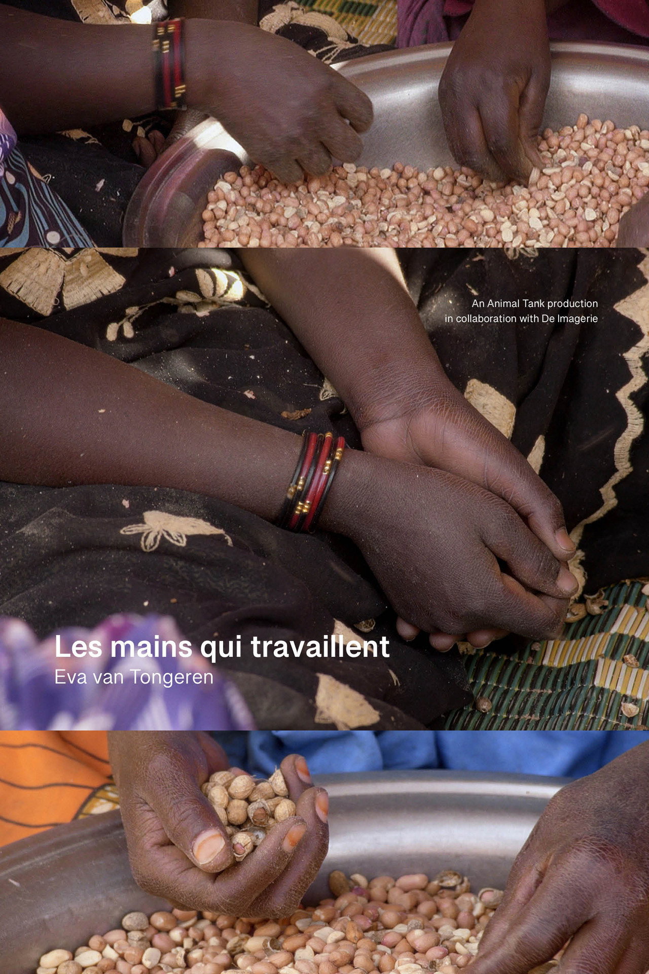 Les mains qui travaillent