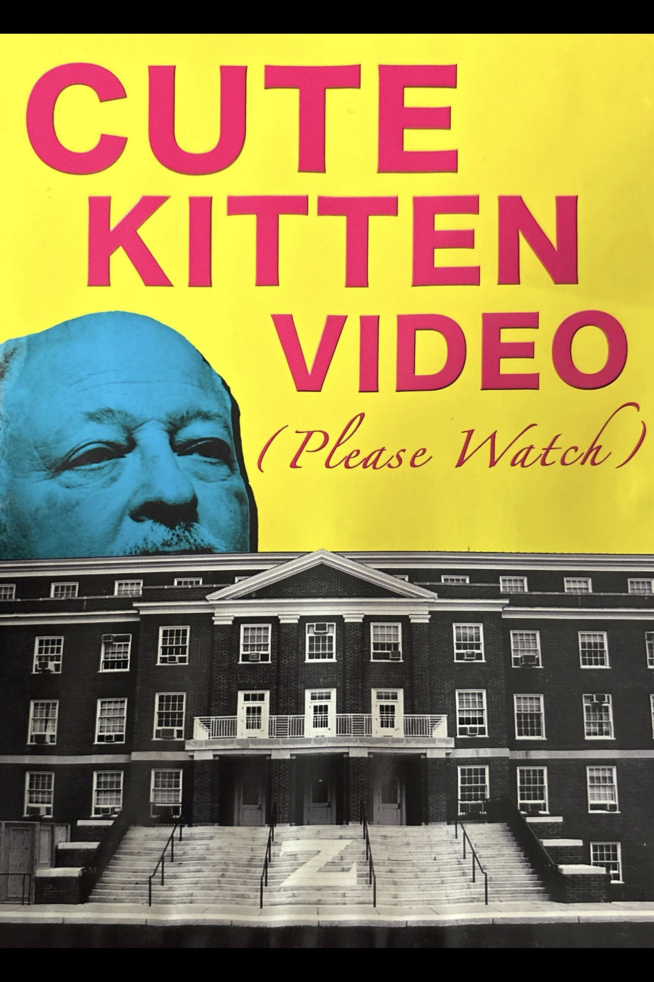 Cute Kitten Video (Please Watch) filmaffisch
