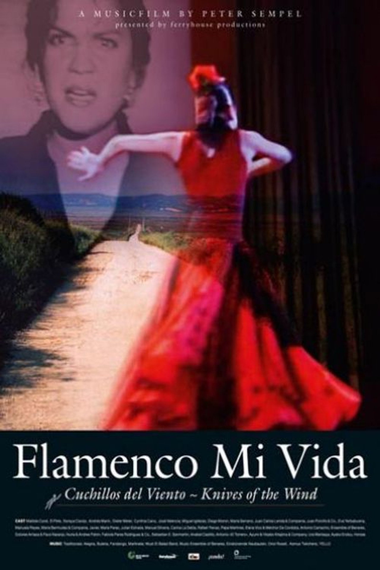 Flamenco mi vida - Knives of the wind filmaffisch